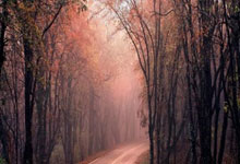 天涯问答论坛：聊聊知识碰撞，分享生活点滴，你还犹豫啥？