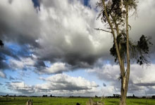 天涯问答论坛：聊聊知识碰撞，分享生活点滴，你还犹豫啥？